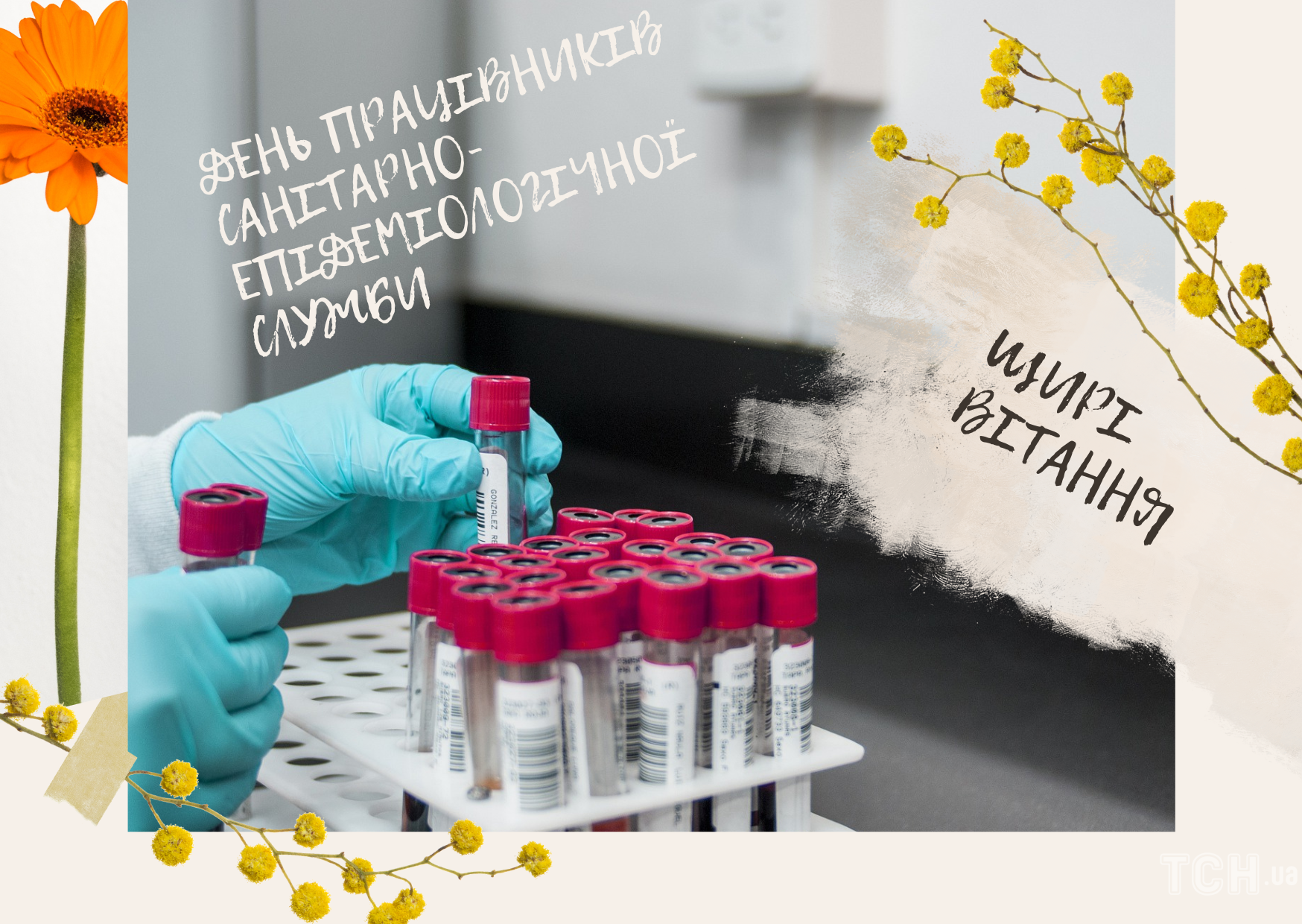 https://img.tsn.ua/cached/000/tsn-15890496c3fba55a55e21f0ca3090d06/thumbs/x/11/7f/9b40e9940f08a41354eac07e37e67f11.png