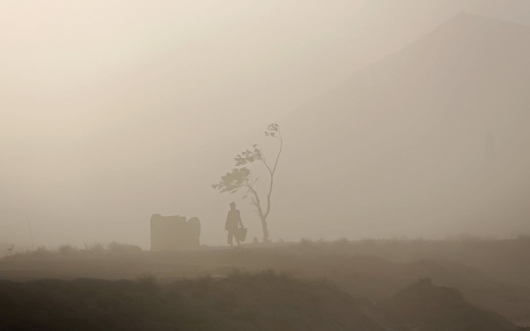 Человек ходит рядом с деревом во время пылевой бури в Кабуле, Афганистан. / © Reuters