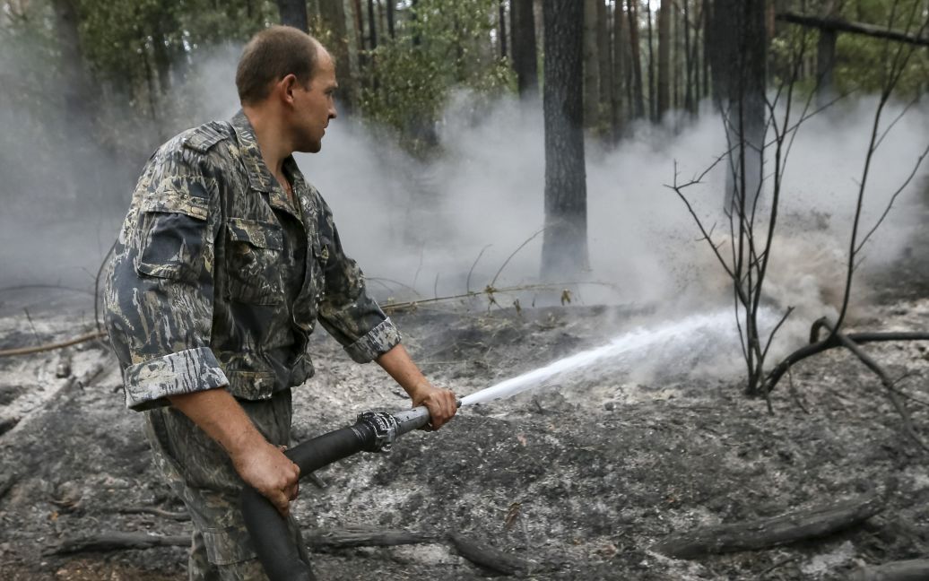 Ліс перетворився на згарище / © Reuters