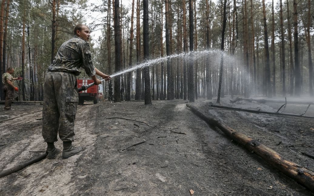 Пожарные тушат лесной пожар под Киевом, из-за которого столицу затянуло едким дымом / © Reuters