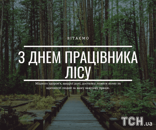 Листівки з Днем працівника лісу / © ТСН