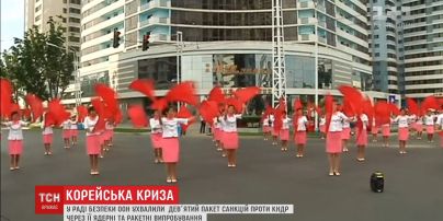 Дев’ятий пакет санкцій проти КНДР ухвалили у Раді безпеки ООН