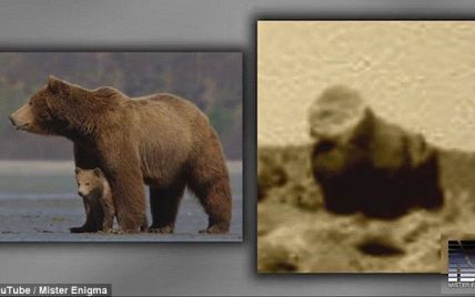 Марсіанський зоопарк. На фото NASA з Червоної планети розгледіли горил