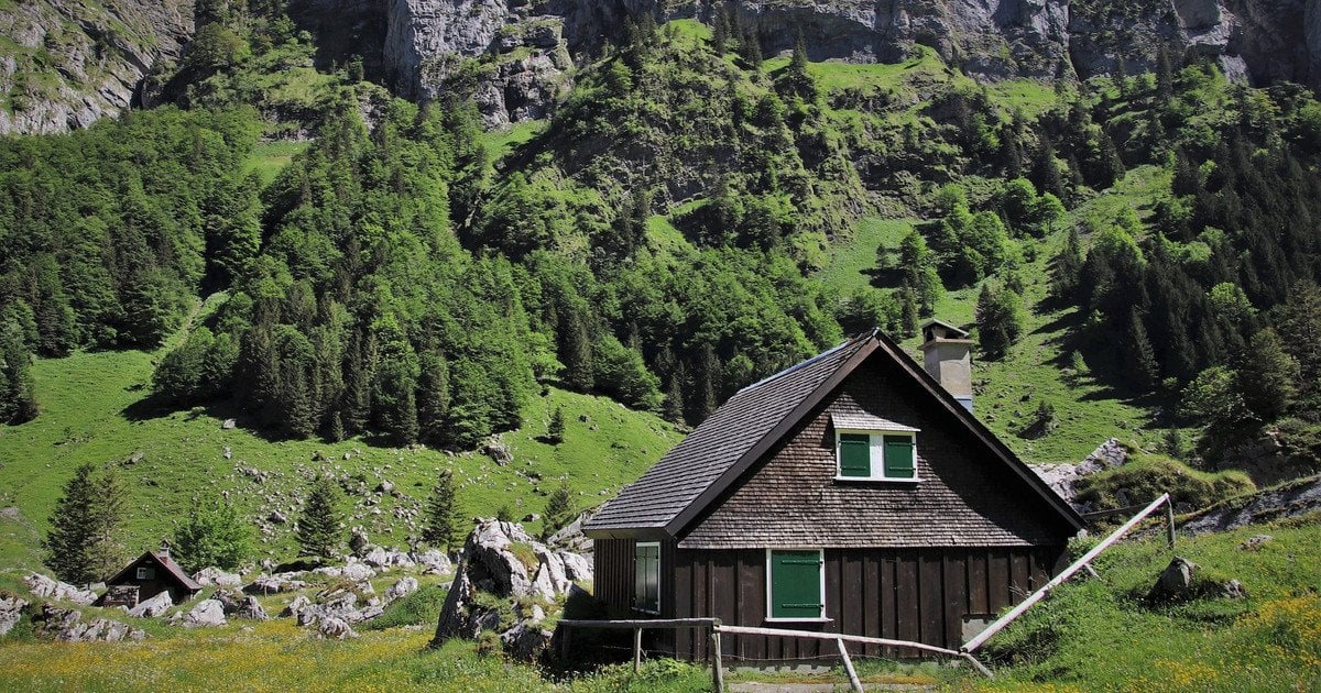 Ілюстративне фото