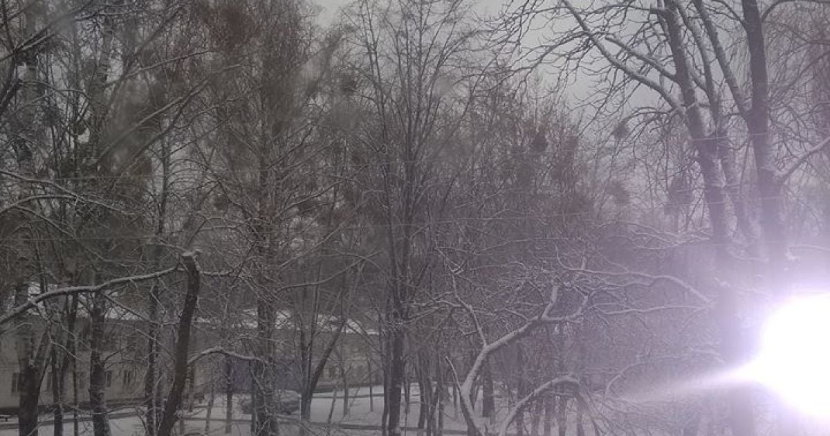 Чернигов засыпало снегом / © facebook.com/suspilne.chernihiv/