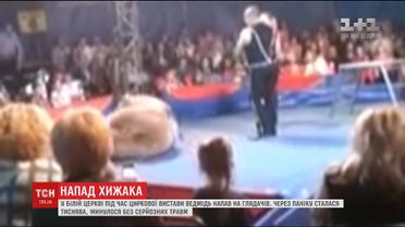У Білій Церкві ведмідь напав на глядачів цирку