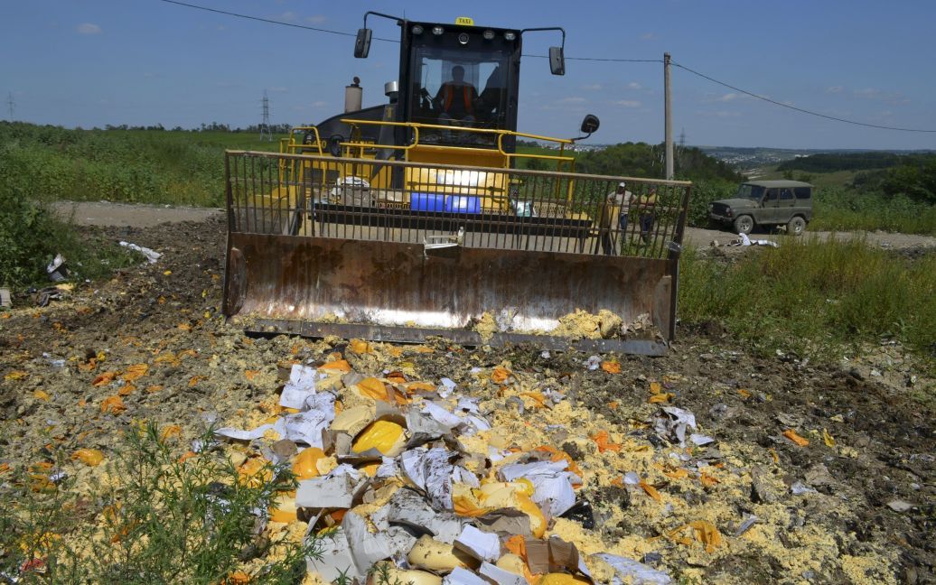 В России 6 августа уничтожили сотни тонн санкционных продуктов. / © Reuters