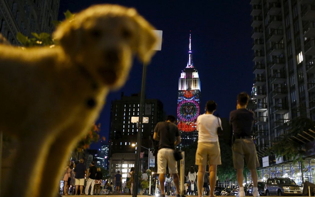 Шоу влаштували, аби првернути увагу до проблеми вимирання тварин / © Reuters
