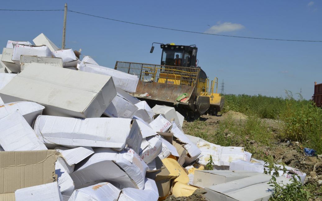 У Росії 6 серпня знищили сотні тонн санкционных продуктів. / © Reuters