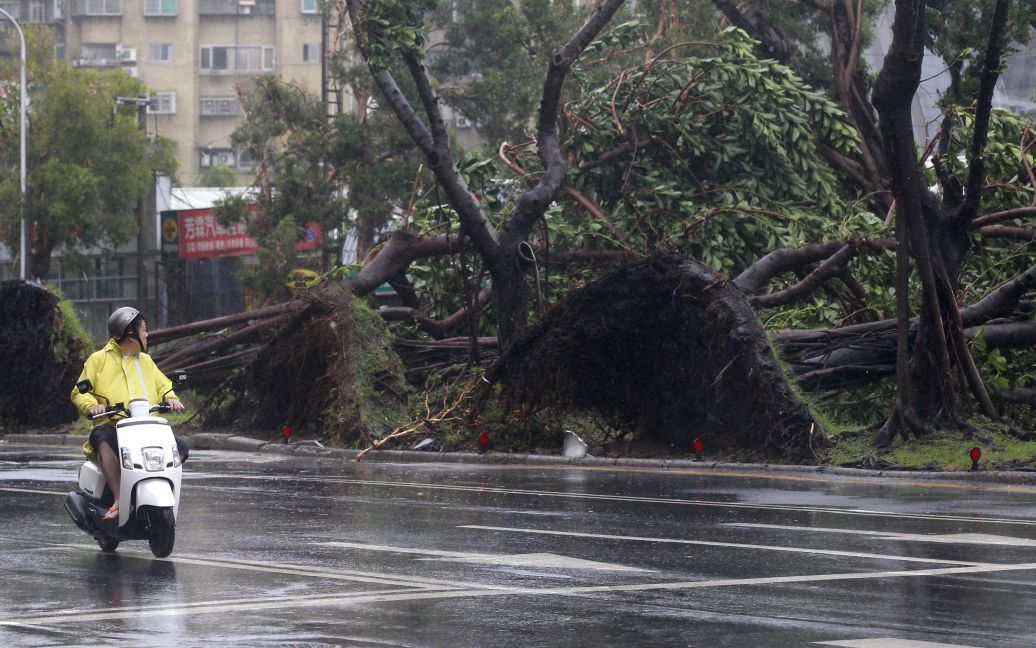 Непогода вызвала масштабные разрушения / © Reuters
