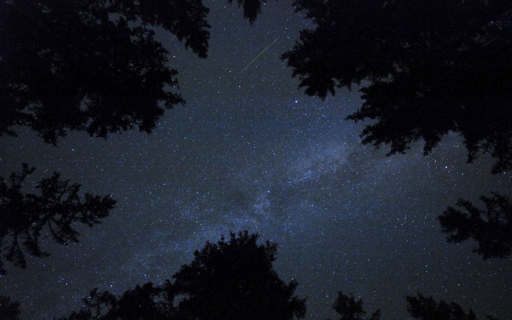 За пиком звездопада земляне наблюдали минувшей ночью / © Reuters