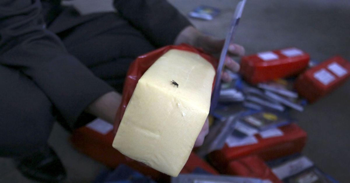 Россиян ждет дефицит мяса, молока и сыров