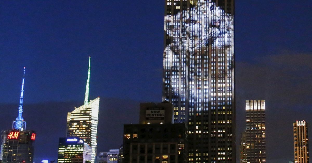 Шоу устроили, чтобы првернути внимание к проблеме вымирания животных