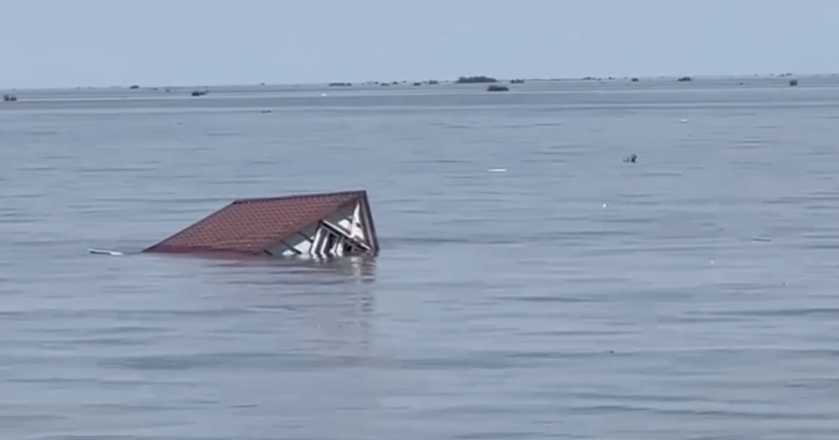 В Одесской области фиксируют последствия экоцида после подрыва Каховской ГЭС. Фото: скриншот.