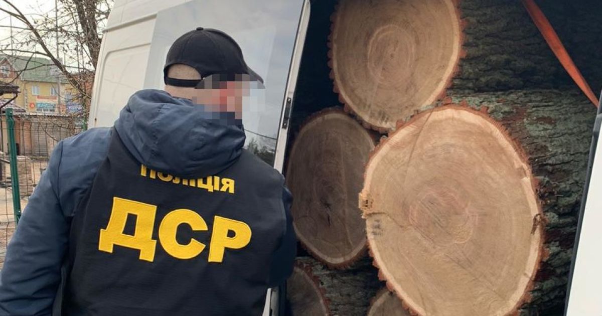 затримання чорних лісорубів у Києві_4 / © Відділ комунікації поліції Києва