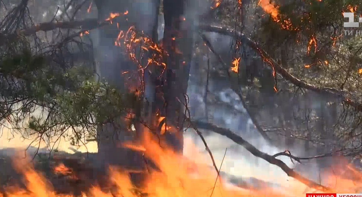 На Херсонщині вогнем охопило понад сотню гектарів лісу