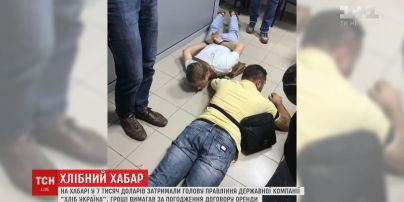 Председателя правления государственной компании "Хлеб Украины" задержали на взятке