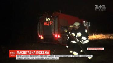 Из-за поджога или неосторожности в Днепропетровской области выгорело 30 гектаров сухой травы
