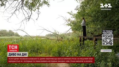 Чудеса земли, где еще в прошлом году было самое большое пресное море Украины? Катастрофа Каховской ГЭС
