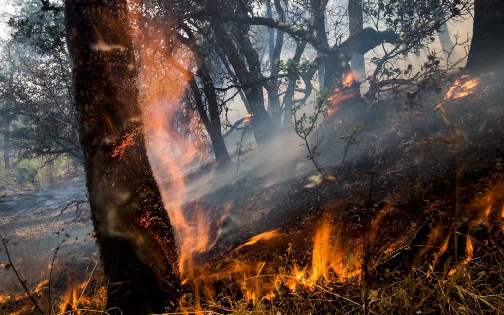 Масштабный пожар в Калифорнии / © Reuters