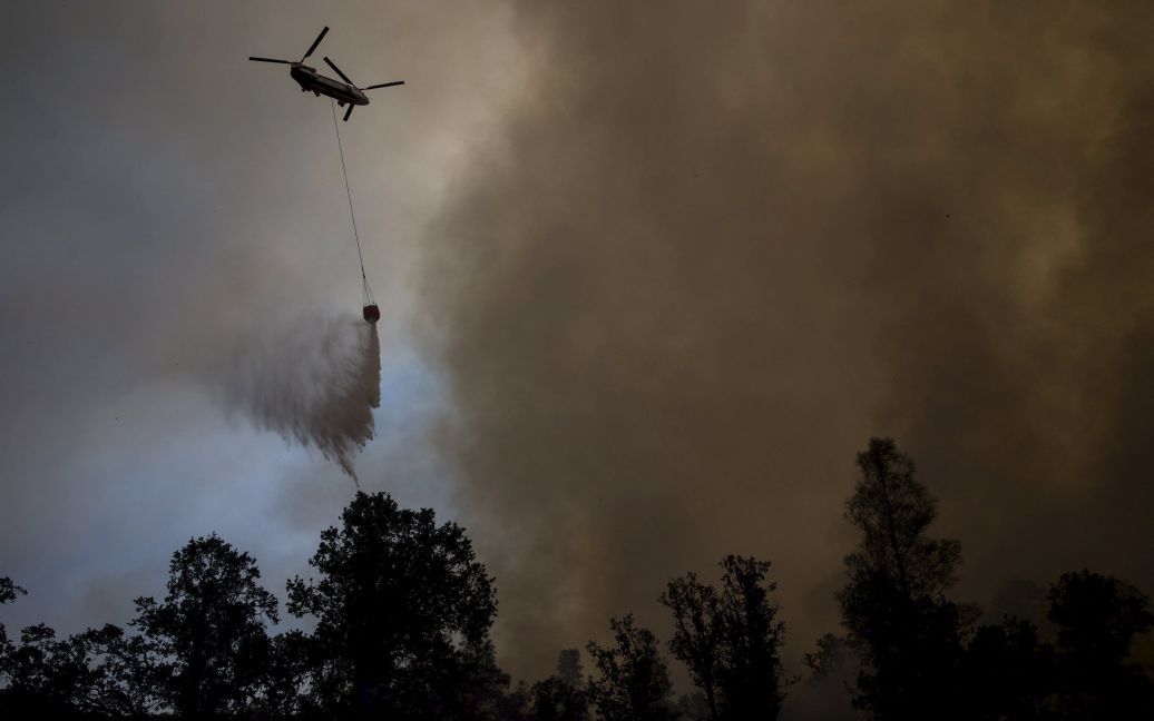 Масштабный пожар в Калифорнии / © Reuters