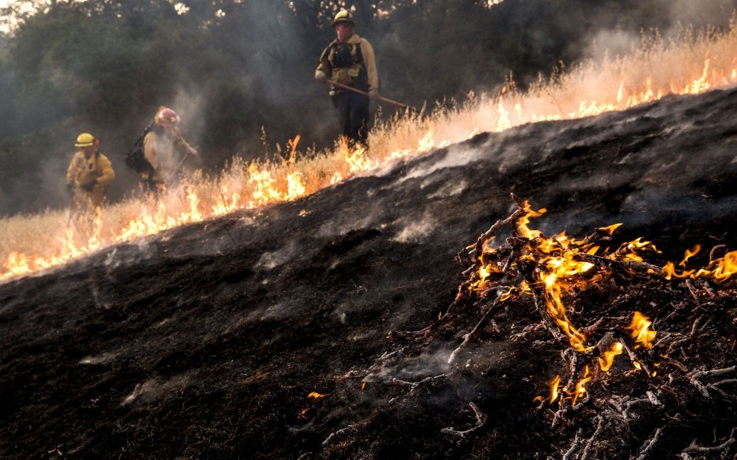 Масштабна пожежа в Каліфорнії / © Reuters