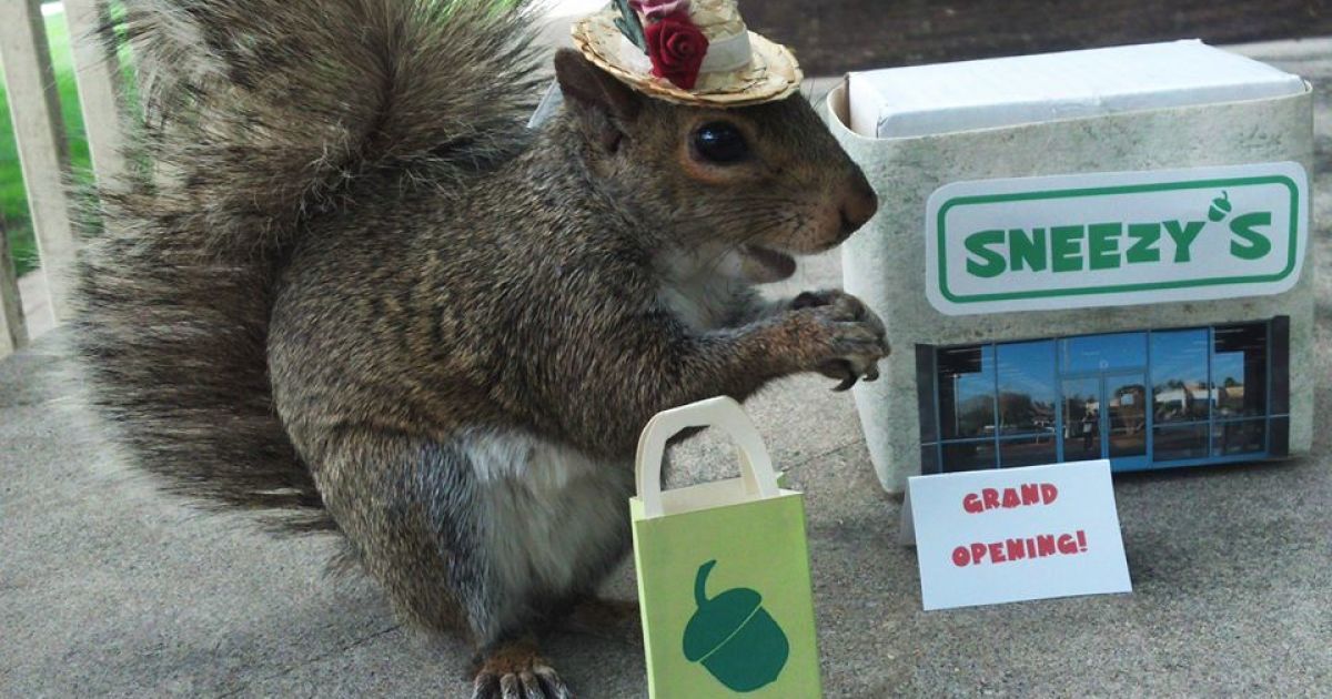 Белка-модница Снизи / © Sneezy The Penn State Squirrel / Facebook