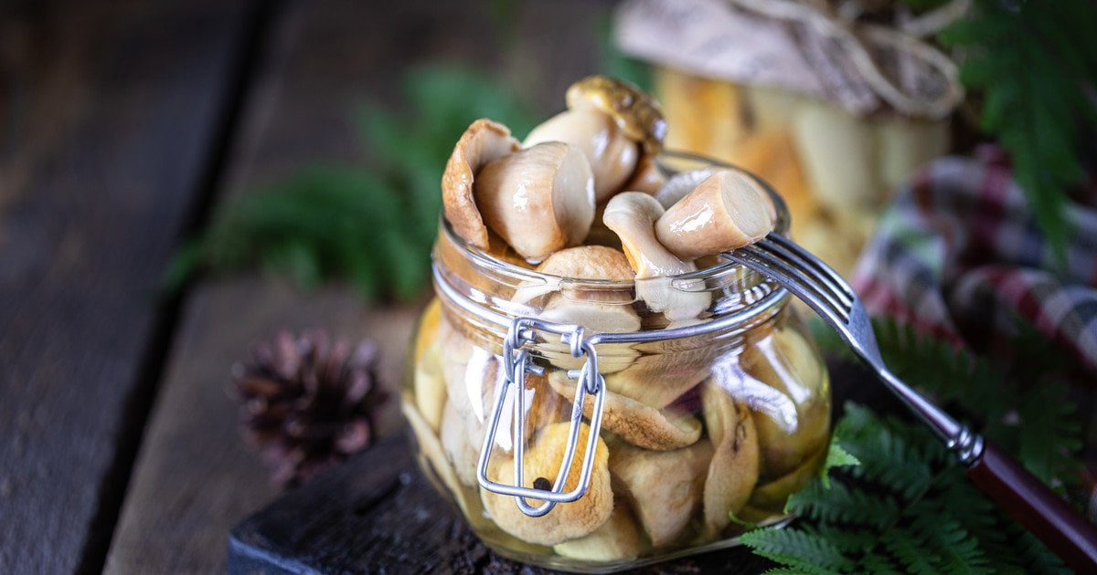 Як зробити універсальний маринад для всіх видів грибів