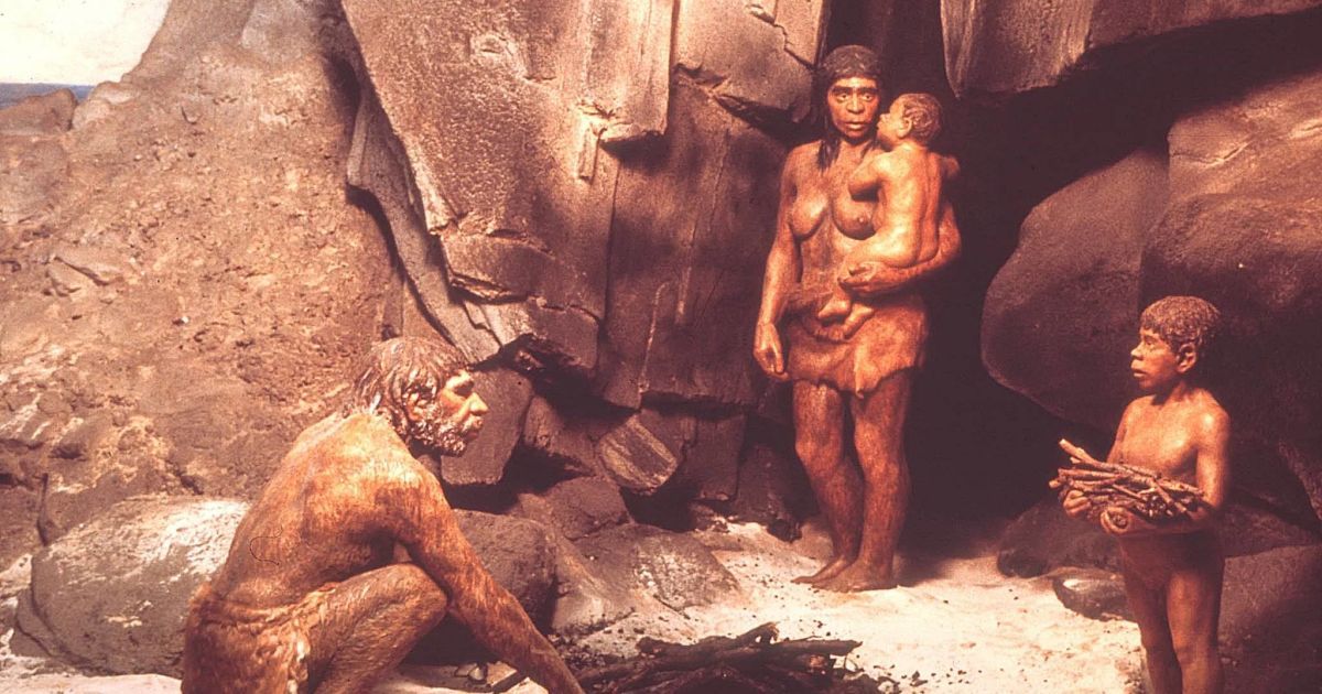 Тайна исчезновения неандертальцев может скрываться в Y-хромосоме / Фото: Facebook