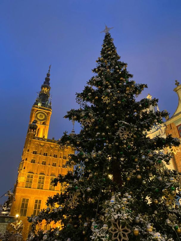 Різдвяна ялинка у Ґданську / © ТСН.ua