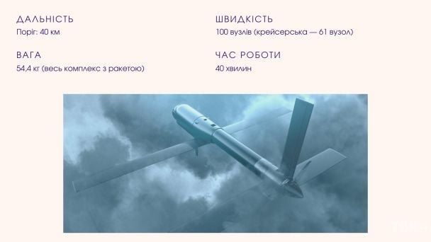 Switchblade 600 / © ТСН.ua