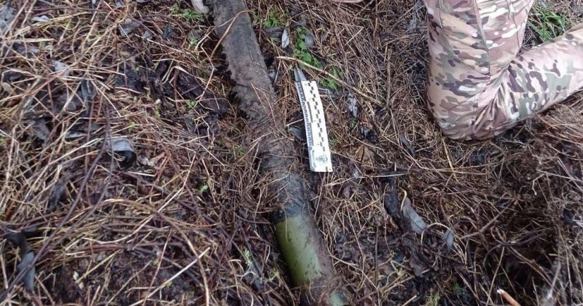 В Киевской области обнаружили и обезвредили реактивную гранату и противотанковые мины (фото, видео)