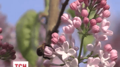 Какую погоду следует ожидать на Пасху