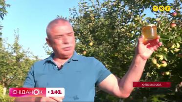 Як обрати якісний та смачний мед - поради Костянтина Грубича