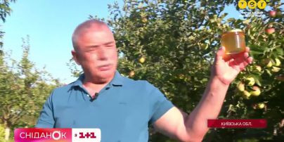 Як обрати якісний та смачний мед - поради Костянтина Грубича