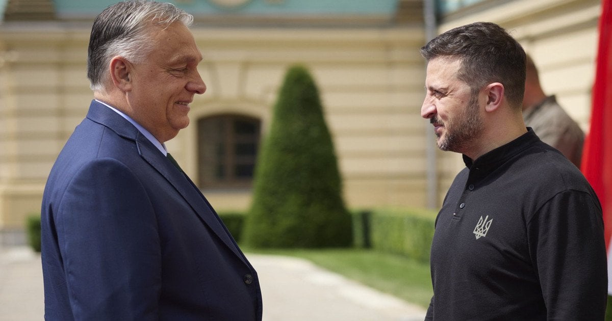 Володимир Зеленський та Віктор Орбан у Києві