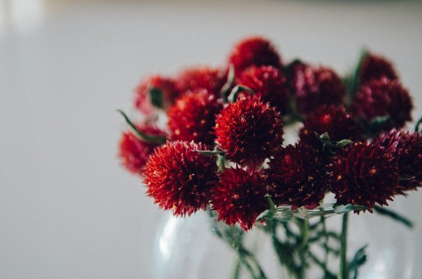 День ангела 5 серпня — душевні привітання в прозі / © unsplash.com