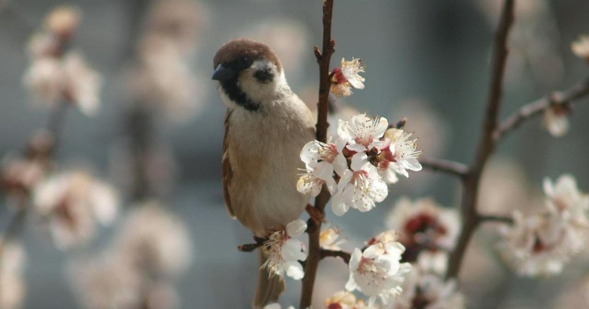 Синоптики рассказали, какой будет погода в Украине 14 апреля