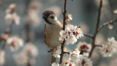 Синоптики розповіли, якою буде погода в Україні 14 квітня