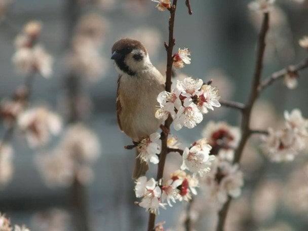 Народні прикмети 19 квітня / © pexels.com