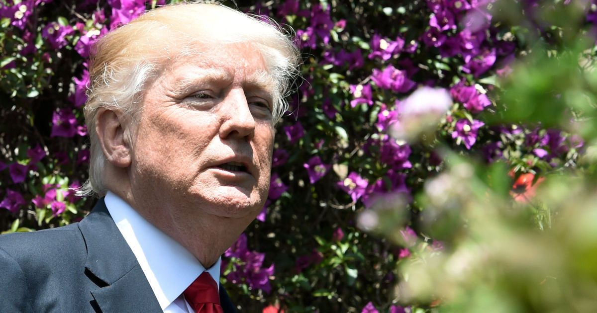 В Британии и США опровергли отмену визита Трампа в Лондон