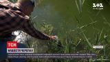 Новини України: у Запоріжжі нашестя черепах - у них стався справжній бебі-бум
