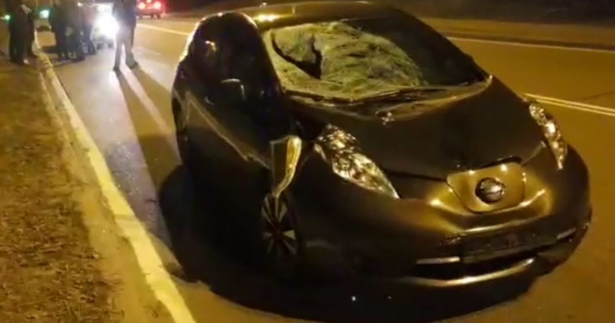 Под Киевом пешеход бросился под колеса "Nissan"