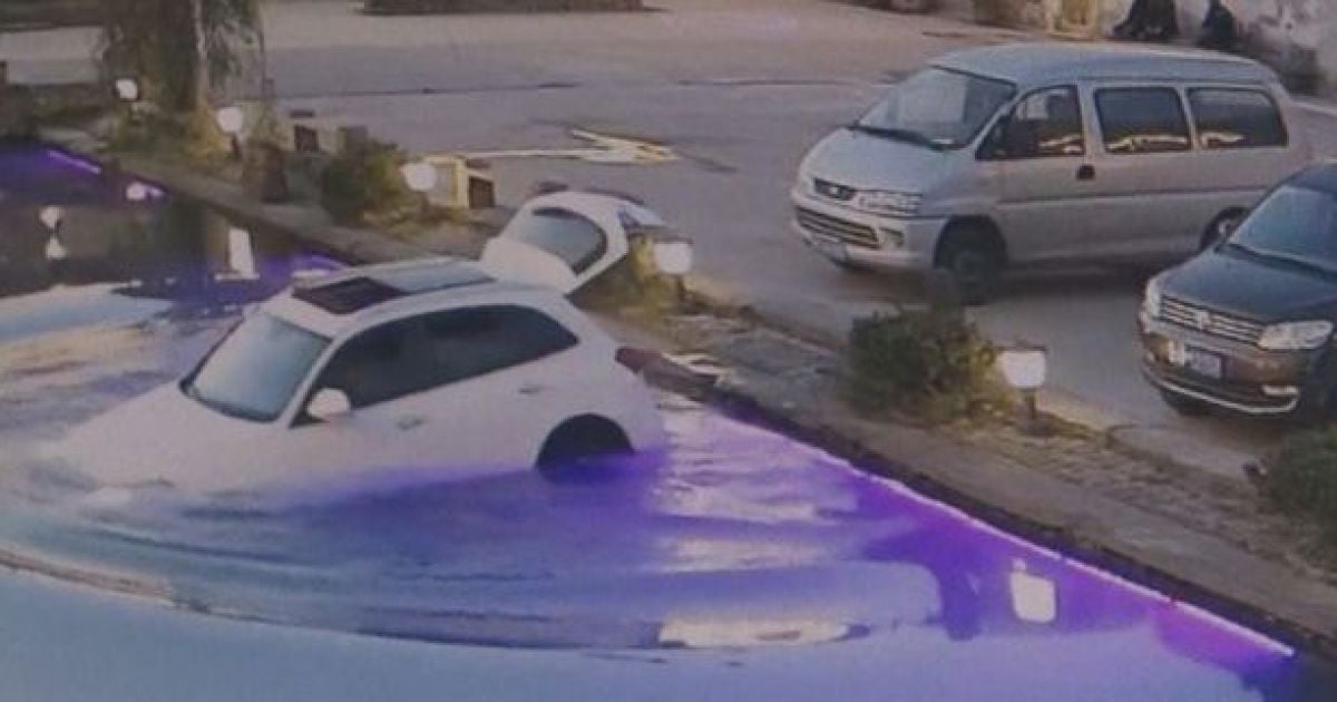 В Китае радостная собака утопила автомобиль в водоеме