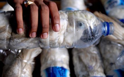Индонезийская полиция спасла попугаев, которых контрабандисты перевозили в пластиковых бутылках