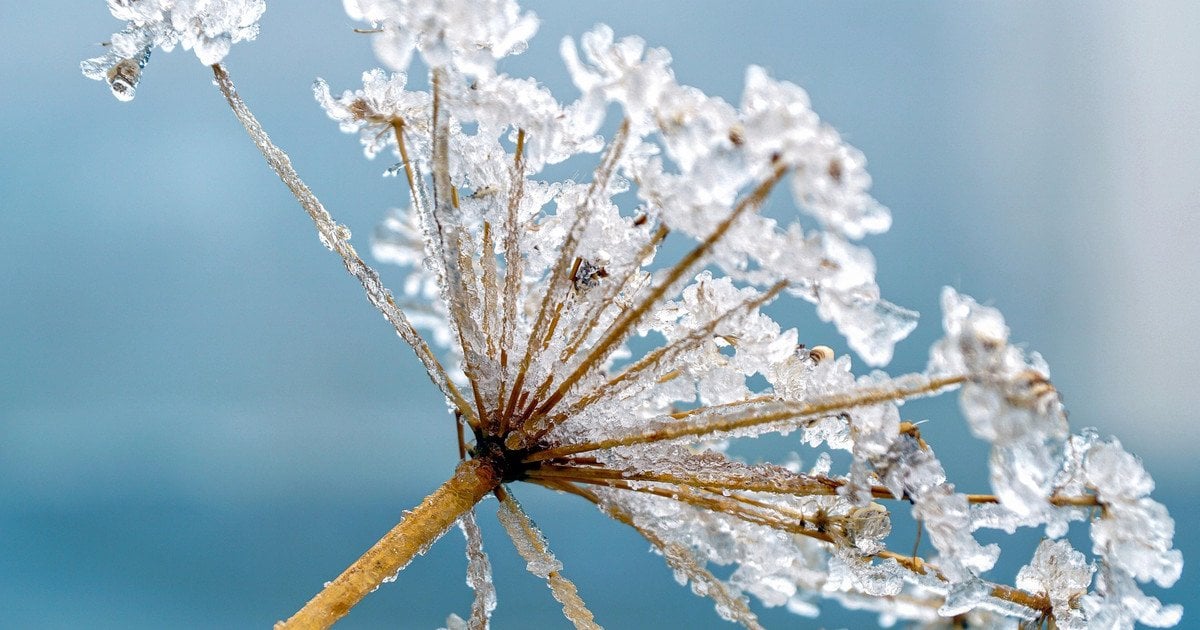 Який сьогодні, 26 січня, день ангела