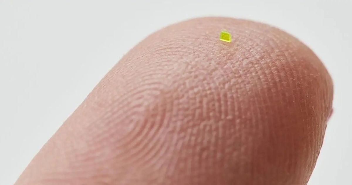 A microscopic Louis Vuitton bag was created, which is smaller than a grain of salt photo