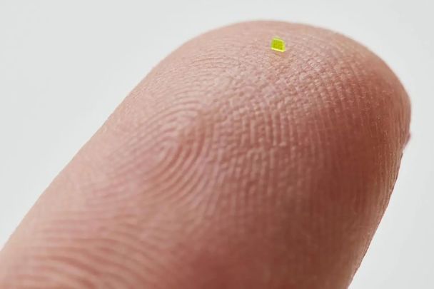 Мікроскопічна сумка Louis Vuitton / Фото: MSCHF