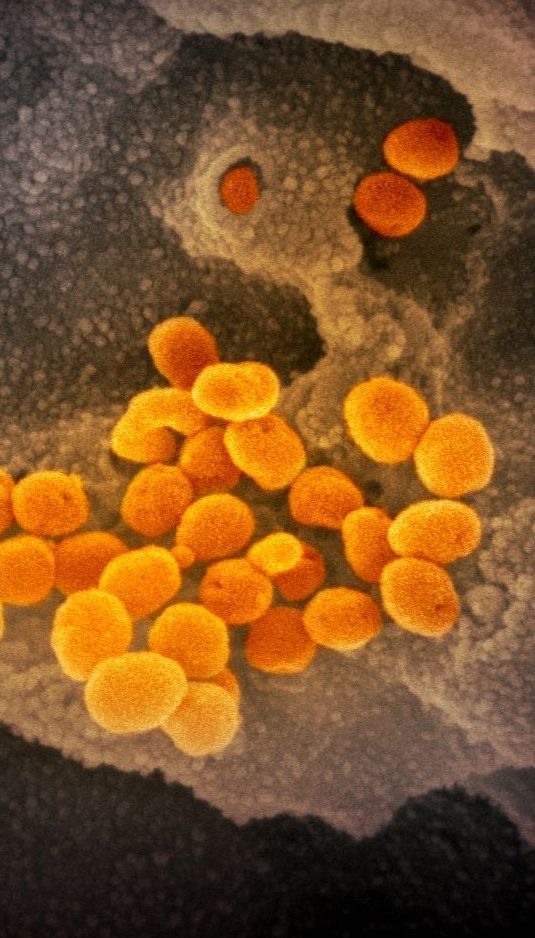 В Японии одобрили первое лекарство от коронавируса