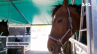 У Львівській області створили евакуаційну стайню